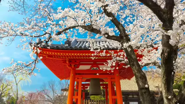 Why visit Japan culture and landscape