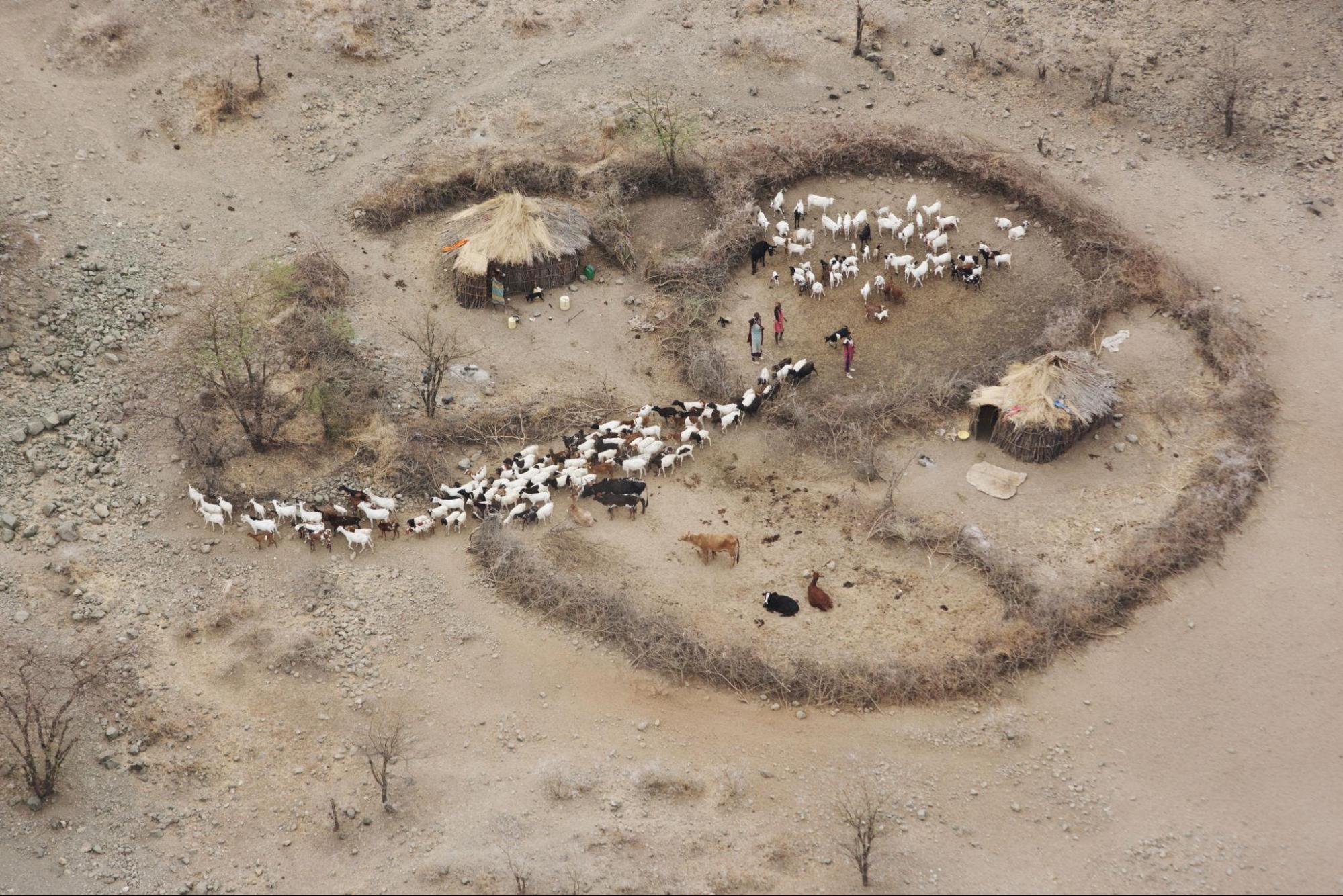 Masai Culture Guide 2026: Complete FAQ Hub