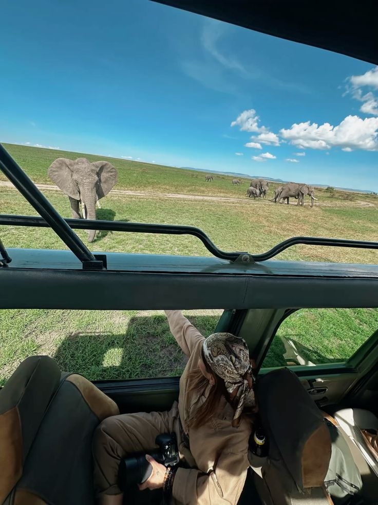 Masai Mara Trip Cost from Hyderabad (2026 Cost Guide)