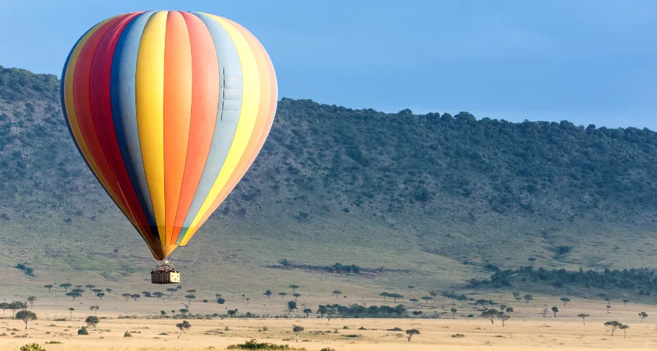 Masai Mara Ultimate Safari Guide