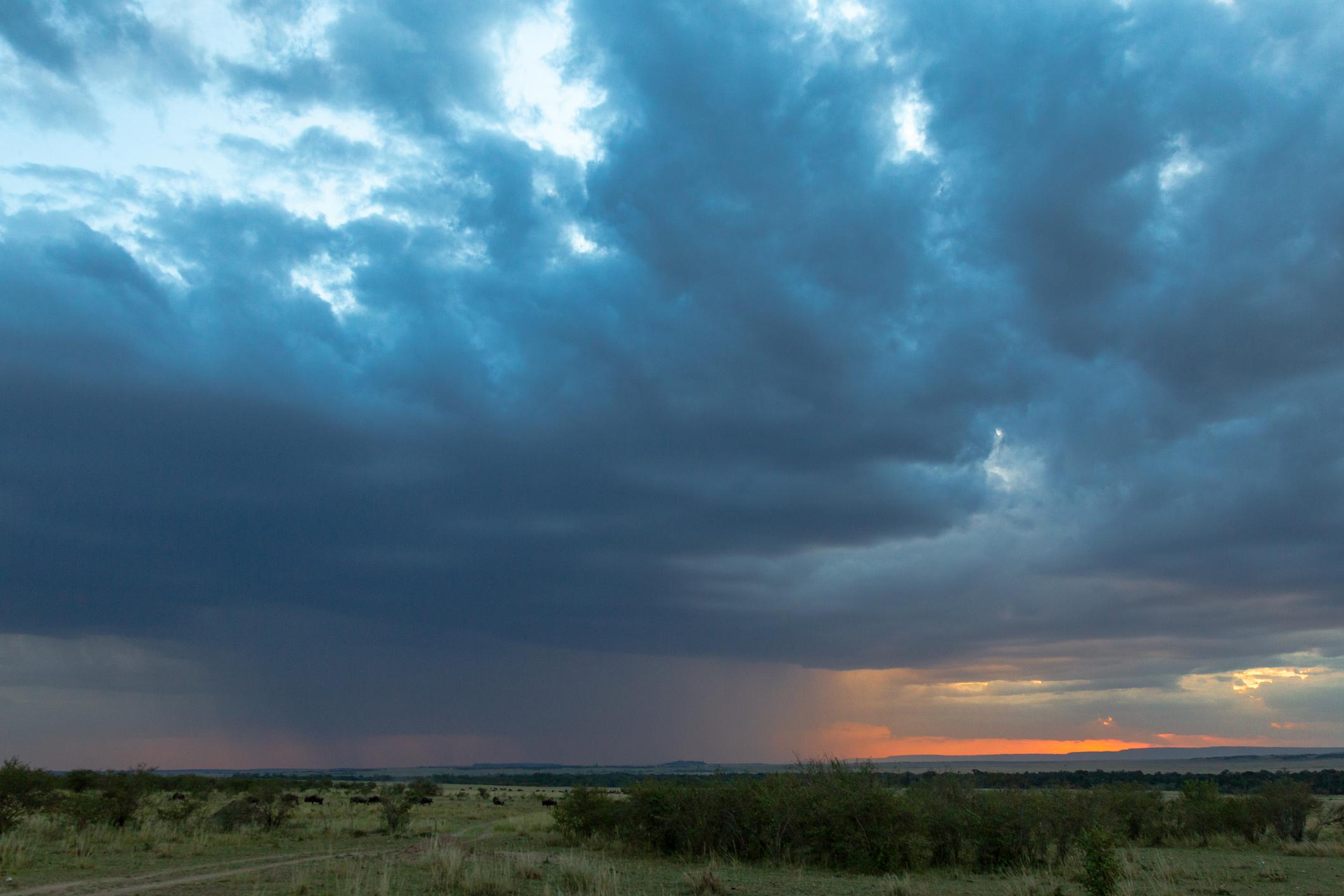Is June a Good Time to Visit Masai Mara?