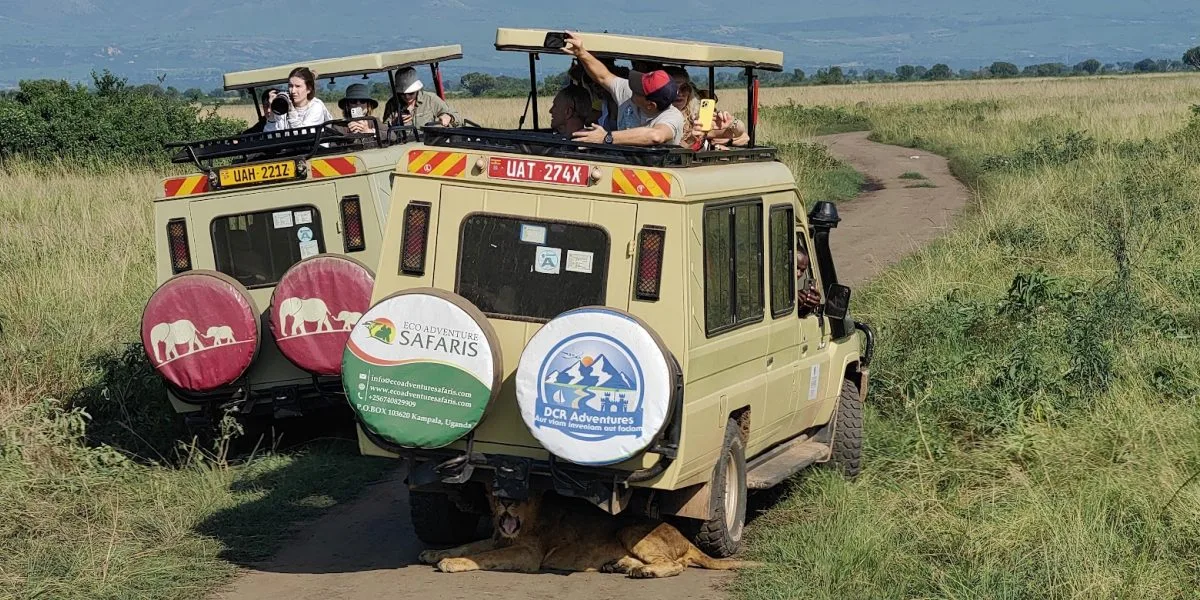 Road safari to Masai Mara from Nairobi in Land Cruiser