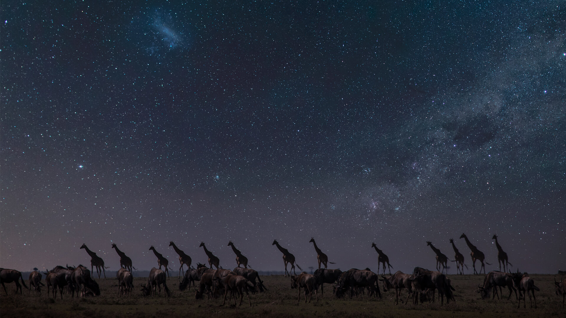 Stargazing under clear night skies in Masai Mara with stars and Milky Way