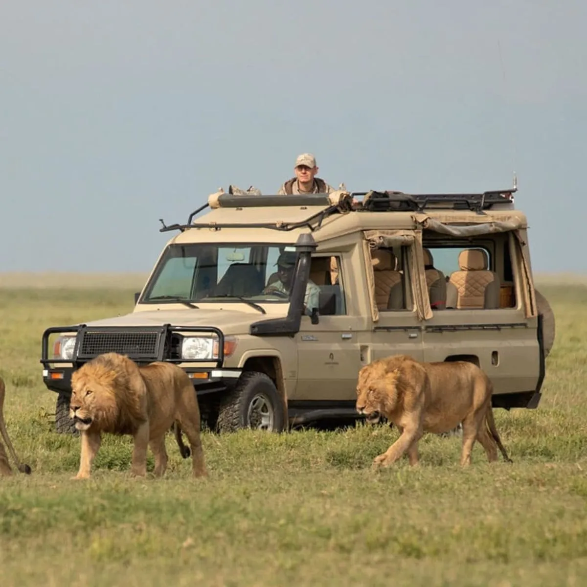 Masai Mara tours from Delhi