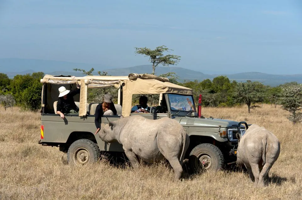 Masai Mara tours from Kolkata