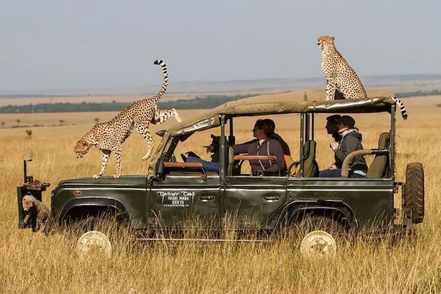 Masai Mara tours from Mumbai