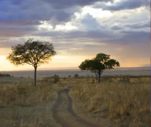 Curated daily flow at Angama Mara