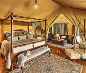 Deeply experienced naturalist guides