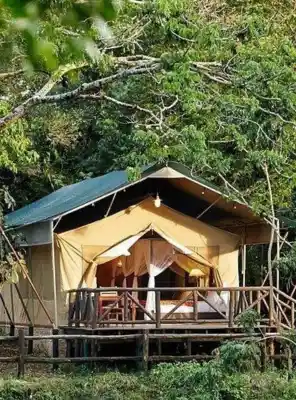 Classic safari lodge ambience at Fairmont Masai Mara