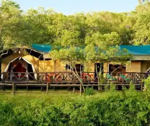 Open walkable grounds with wildlife movement