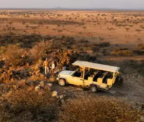 Private game drives for honeymoon safari in Masai Mara