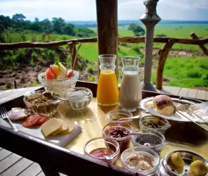Champagne bush breakfast after balloon safari