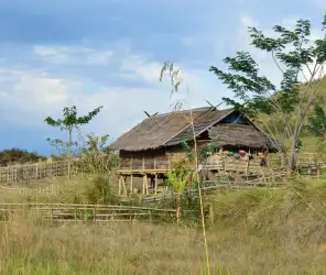 Traditional manyatta homestead structure in Masai culture