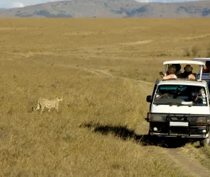 Longer observation windows for animal behaviour photography