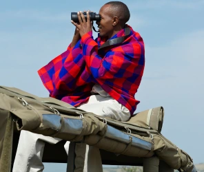 Patience on a photography safari in Masai Mara