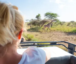 Children can rest without pressure on private safari