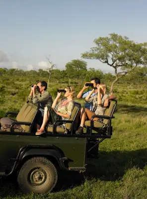 Private 4x4 safari vehicle and guide in Masai Mara