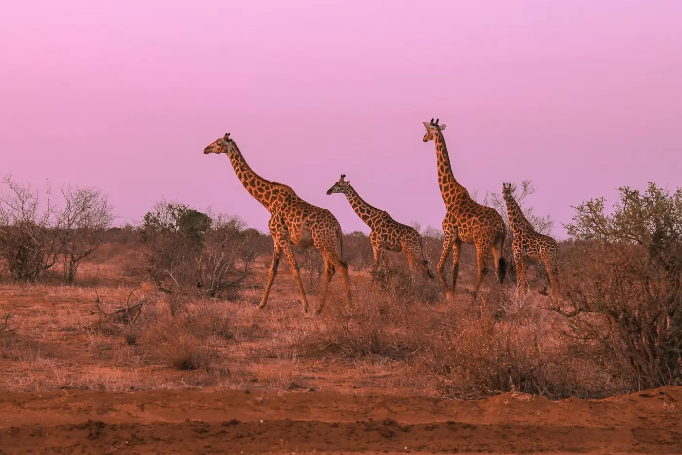 Conservancies