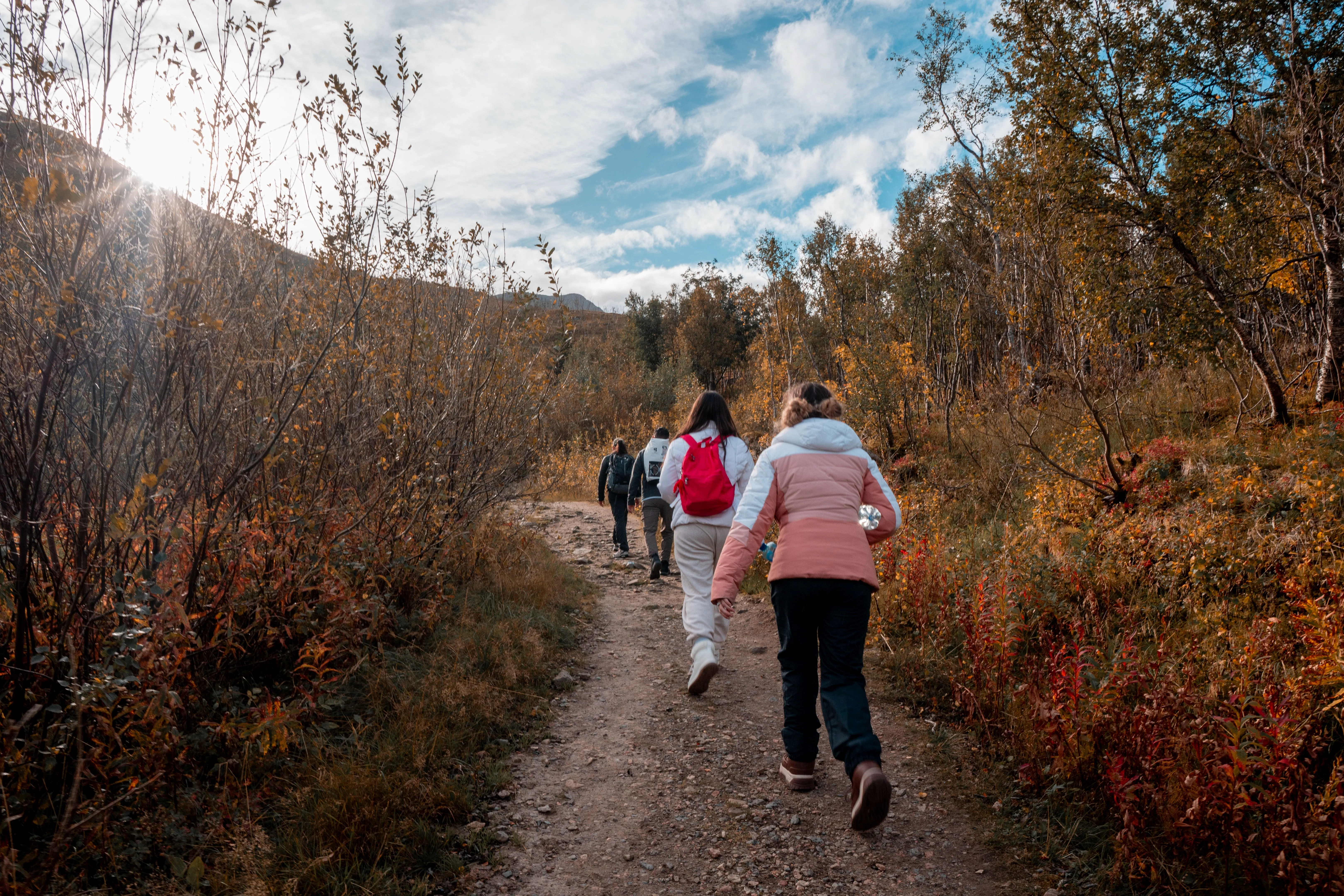 Family-friendly Norway fjord cruise package
