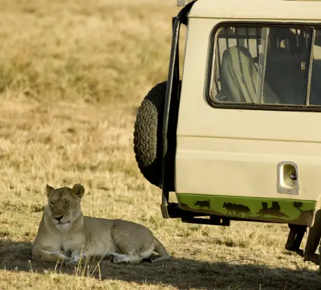 Masai Mara landscape