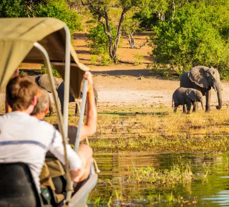 VIP Ultra Luxury Safari