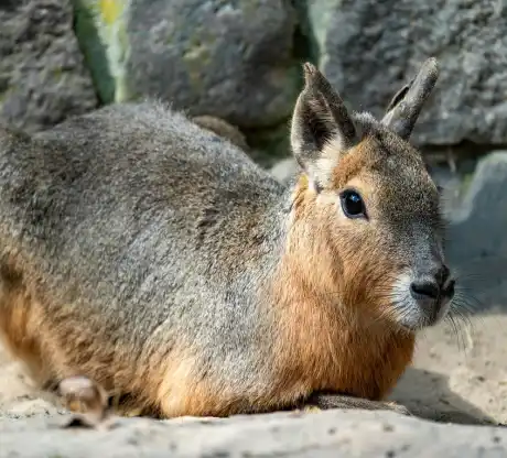 Ultra luxury lodge experience