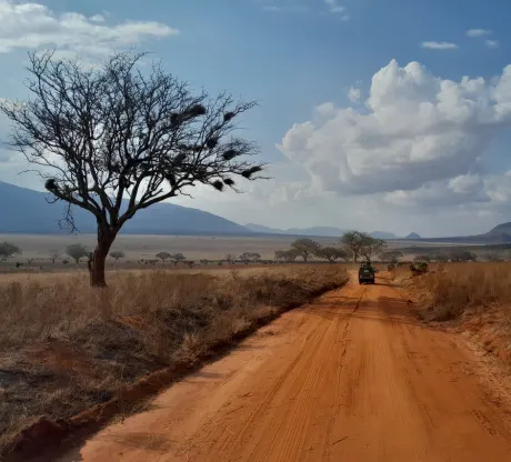 Wildlife viewing in Masai Mara
