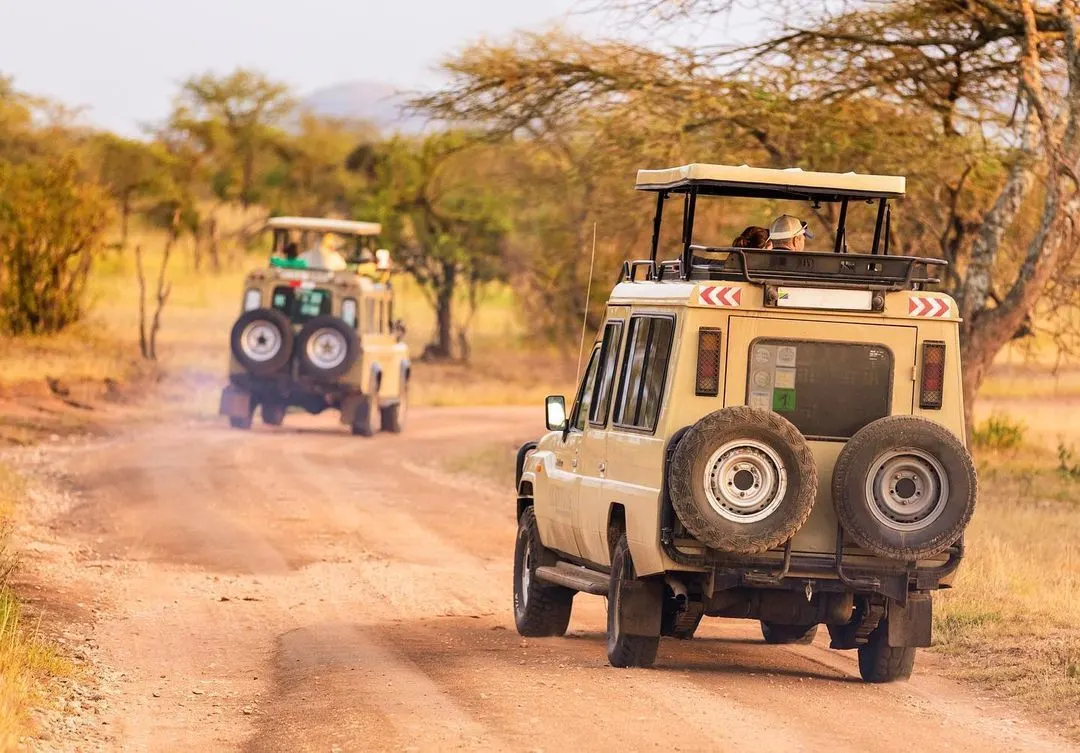 Road safari in Tanzania with 4x4 vehicle