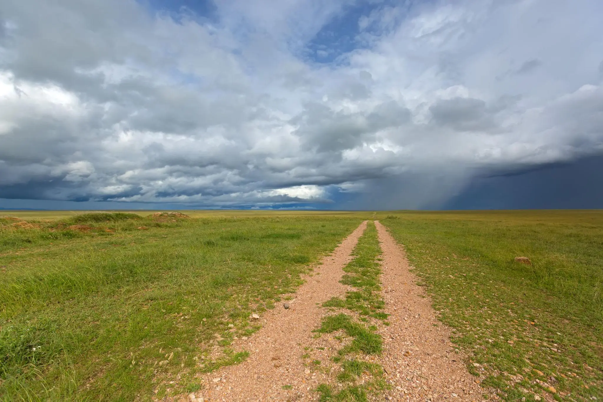 Serengeti Climate Guide: Seasons, Weather Patterns and Wildlife Impact